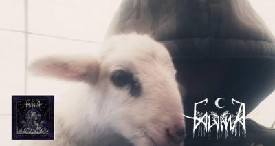 Calvana presentan nuevo sencillo Death of Pan de nuevo álbum Sub Janus