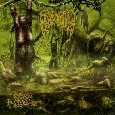 Epicardiectomy - Dismal Landscapes Of Voluptuous Pustular Cadaverosis - 2026
