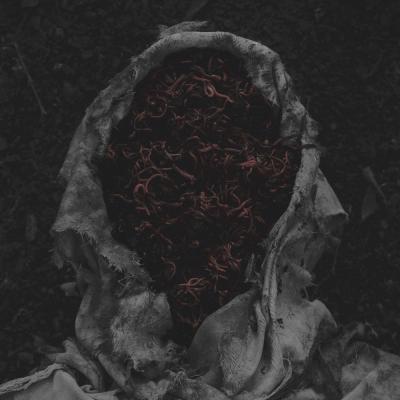 Gorrch - Stillamentum - 2026