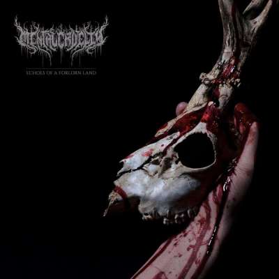 Mental Cruelty - Echoes Of A Forlorn Land - 2026