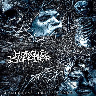 Morgue Supplier - Mastering the Disease - 2026