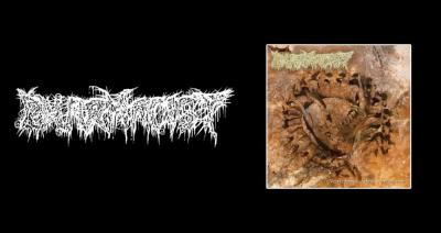 Pharmacist presentan nuevo sencillo Propelling Inwards de nuevo álbum Vertebrae After Vertebrae