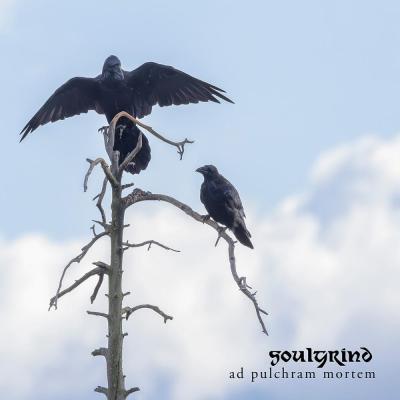 Soulgrind - Ad Pulchram Mortem - 2026