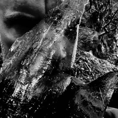 Taake - En skog av nidstang - 2026